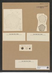 Diatomeae indet. Zeichnungen Sammlung Grunow Nr. 6938 (NHMW-BOT-W0375826)